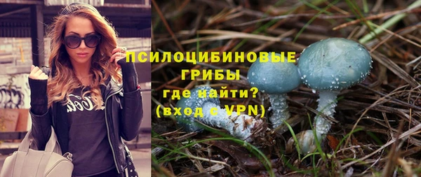 гидропоника Няндома