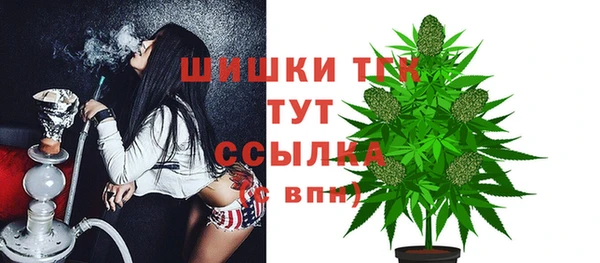 гидропоника Няндома
