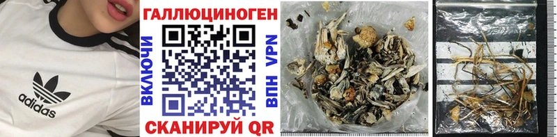 Галлюциногенные грибы прущие грибы  Щёкино 