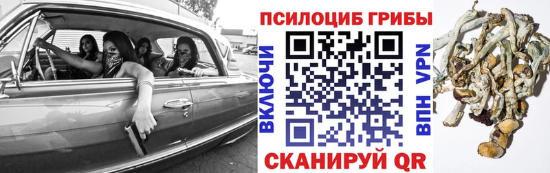 Псилоцибиновые грибы Magic Shrooms Щёкино