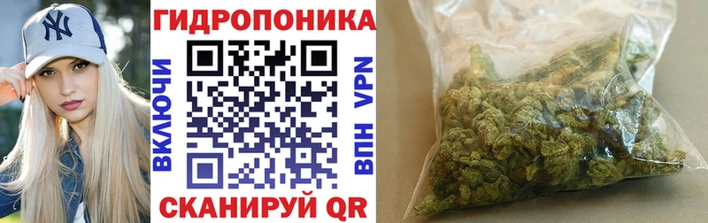 Конопля гибрид  купить закладку  Щёкино 